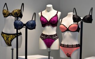 découvrez l'histoire fascinante de passionata, la marque de lingerie jeune et colorée qui a révolutionné l'univers de la lingerie féminine avec ses collections audacieuses et innovantes.