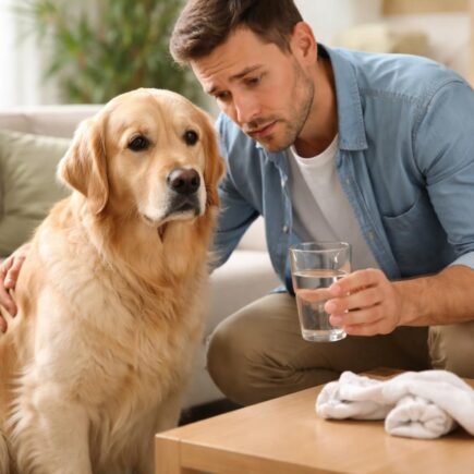 urgent : découvrez les étapes à suivre pour faire vomir un chien qui a avalé une chaussette, et agir rapidement avant que la situation ne s'aggrave.